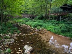 ここから金鞭渓景区を散策します。