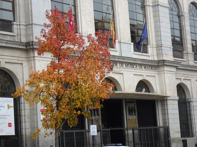 12月上旬のマドリードは紅葉や落ち葉がきれいでした。
