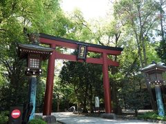 根津神社北口。
根津裏門坂に面した北口がPHOにとっては根津神社の入口です。この裏門坂の道を挟んで反対側に日医大が在ります