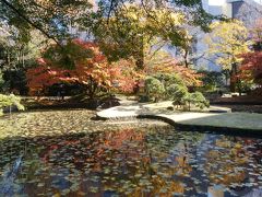 蓮が広がる内庭の紅葉も見事です。