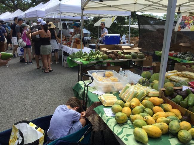 南国フルーツがいっぱい。