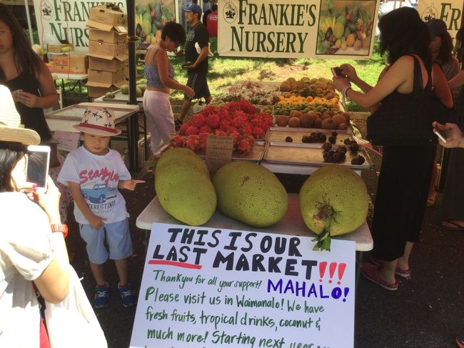 世界一大きな果物・ジャックフルーツ(jack fruit)