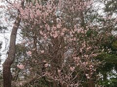 腹ごなしにてくてくと歩きます。
尾山神社などを経由して