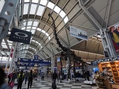 シカゴ・オヘア空港に到着。
ターミナル内にブラキオサウルスの骨格標本のレプリカがあると聞いて乗り継ぎ時間も余り無い中急いで見に行く。
