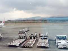 JAL477便で11時ころ高松空港につきました。正面右の水色線下に見える植え込みに「さぬき」と表示されているのが、見えるでしょうか。