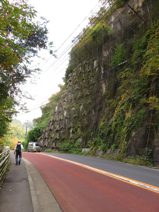 多摩川沿いの散歩道を歩きます。