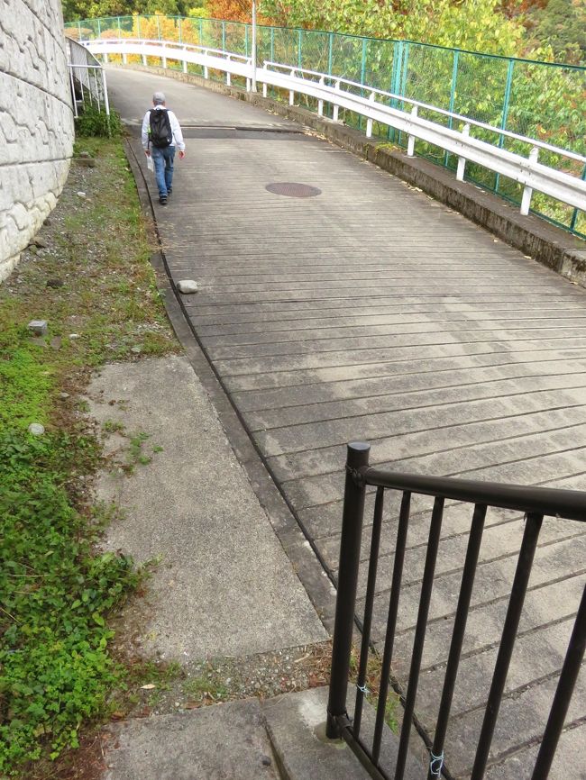 ついまっすぐ進んでしまうけど<br />ホントは右手前の黒い手すりを右に行かなくちゃ！