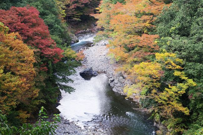 大爆発でした。