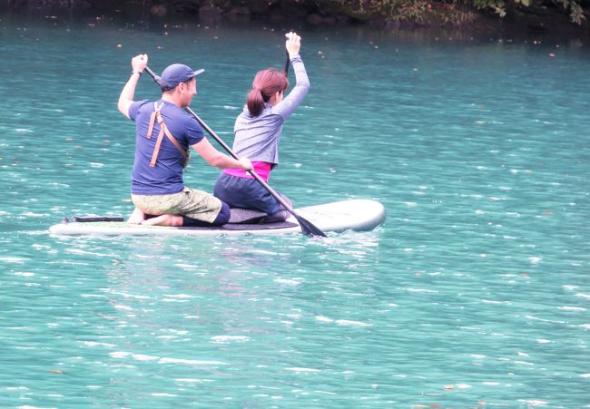 いました。たのしさう！