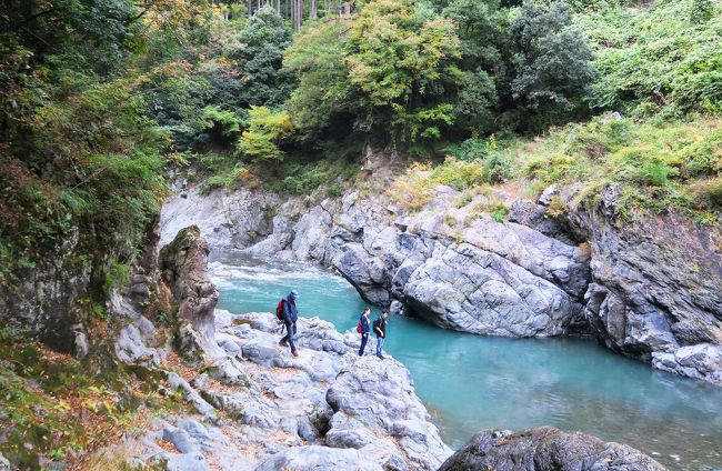 何度も来たくなる散歩道