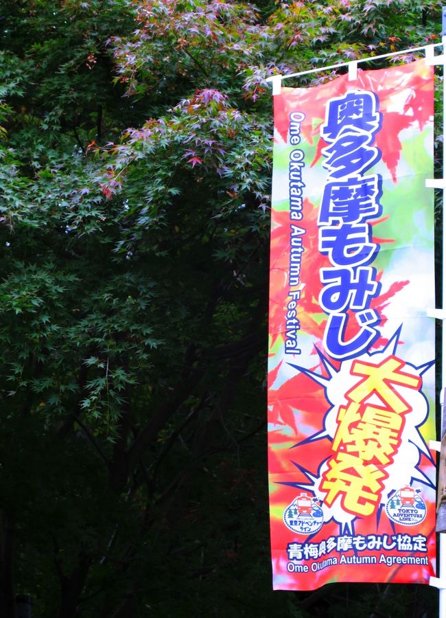 奥多摩もみじ大爆発！