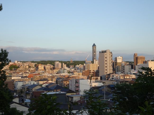 11-8．名古屋市千種区<br /><br />古渡城からの流れで末森城跡にも行ってみました。現在は城山八幡宮となっています。高台にあり、東山スカイタワーなどが見えました。