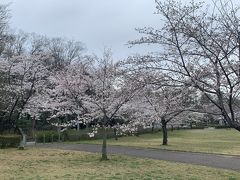 平和公園
ここもひっそり
