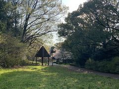 牧野ヶ池緑地　広々落ち着く公園