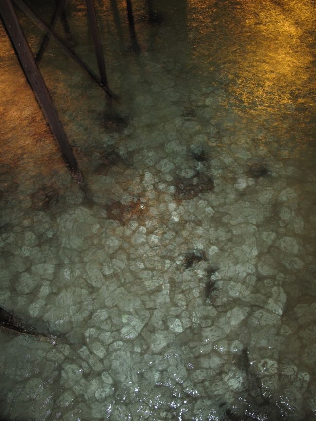 下を覗きこめばキレイな海底が見えます。<br />たまにサメとかもいます。