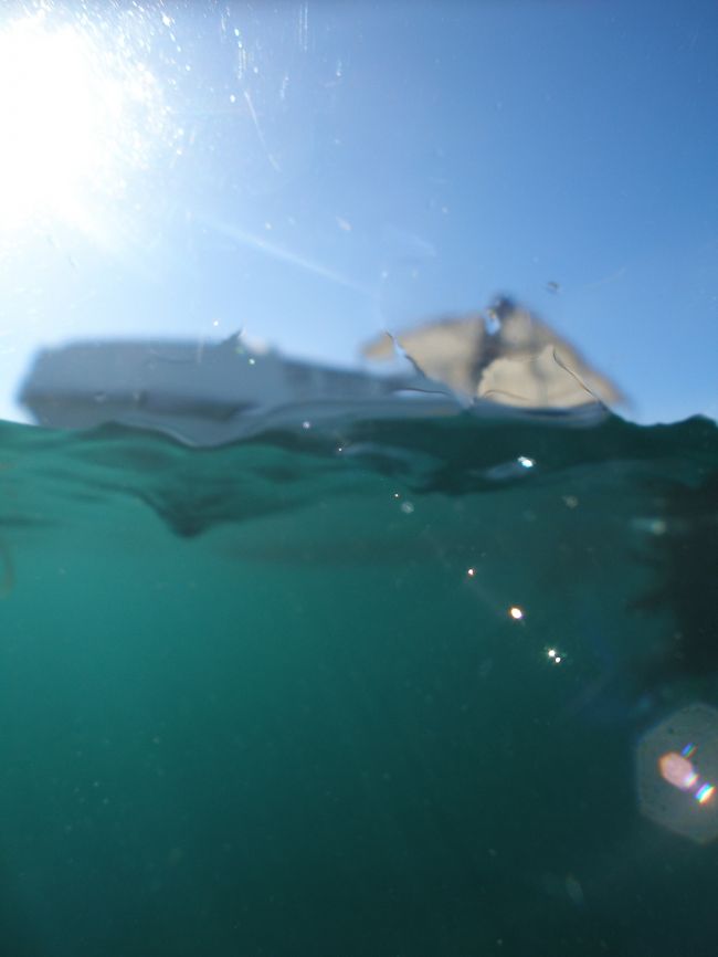 今日もダイビング日和！！