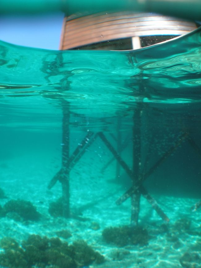 出発前にコテージ下を見てみました。