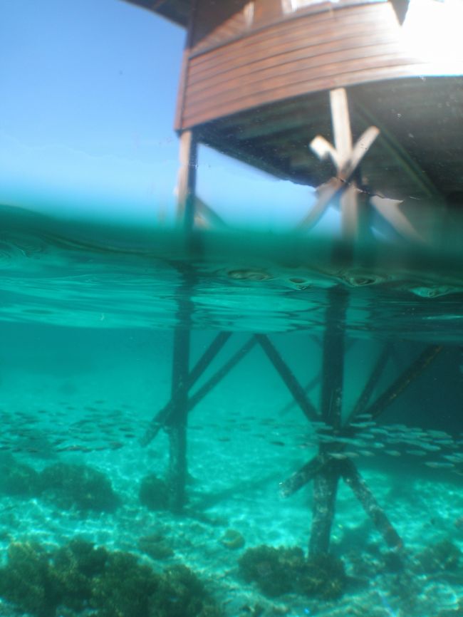 今日も期待大！！