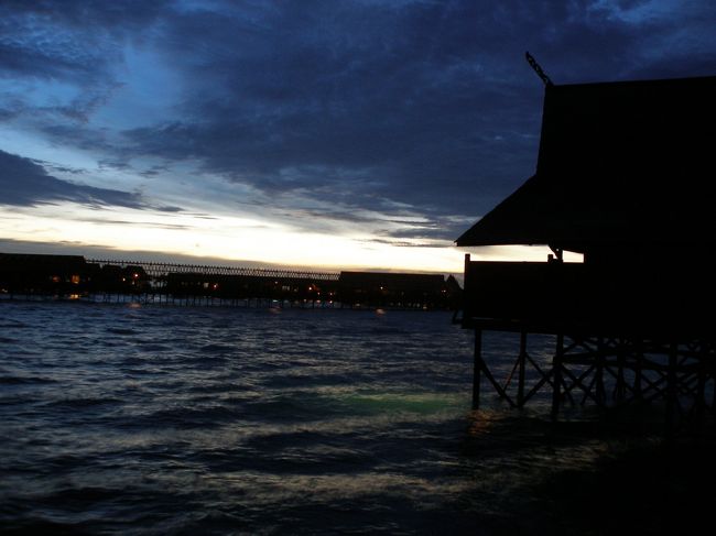 今日も大満足のダイビングでした。