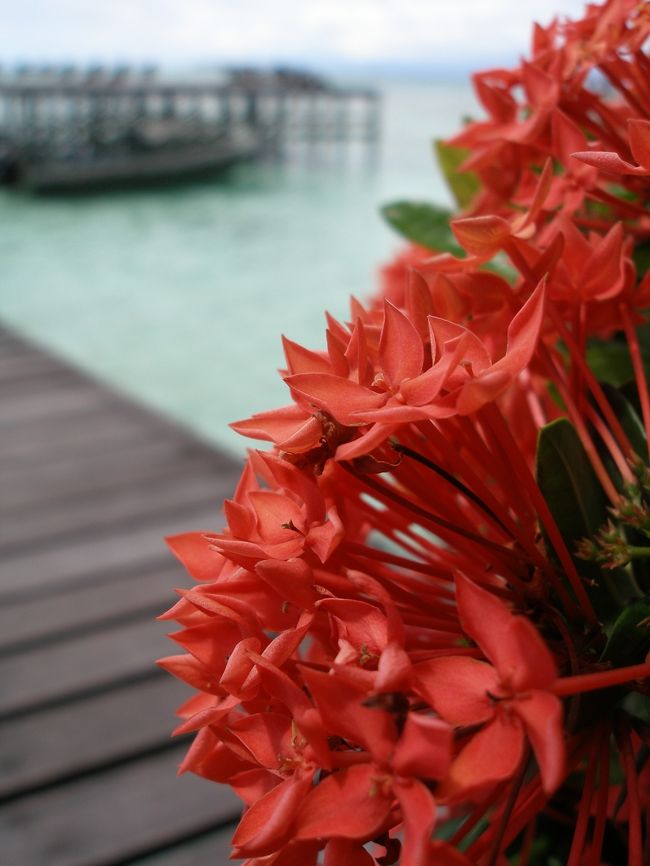 ま、海の中なら一緒か！