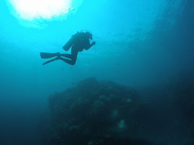 いつもガイドありがとうございます。