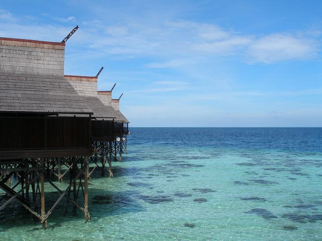 楽しい時間はあっという間で、いよいよ帰国の日です。