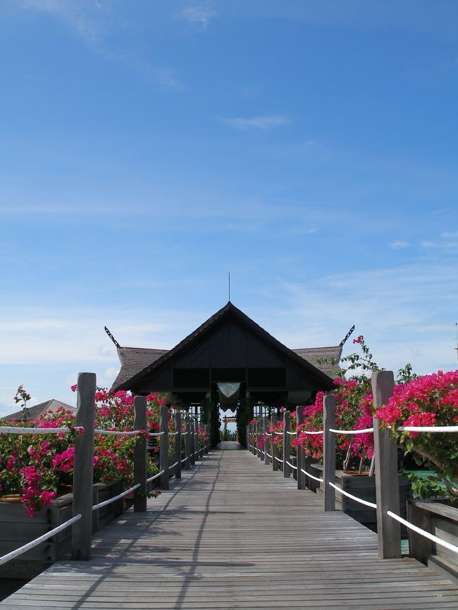 今日もダイビング♪<br />何に会えるかなー？？