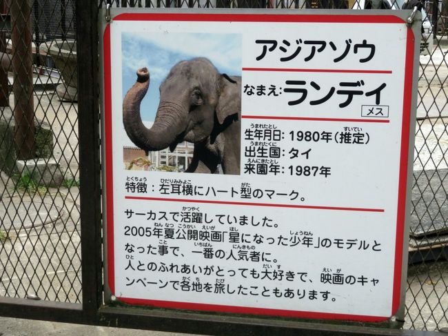 車デビュー敢行 市原ぞうの国 2 もも夏ちゃんとら夢ちゃんも出演 した桜舞うぞうさんショーとぞうさんファミリー 市原 千葉県 の旅行記 ブログ By まみさん フォートラベル 車デビュー敢行 市原ぞうの国 2 もも夏ちゃんとら夢ちゃんも出演 した桜舞うぞうさんショーとぞうさんファミリー 市原 千葉県 の旅行記 ブログ By まみさん フォートラベル