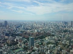 そして目玉の展望台からの景色！大都会東京の大きさが一目でわかります。