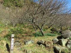 湯河原梅林に登山口があります。
いざ、出陣！