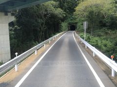 BRTはいくつものトンネルや鉄橋の下をくぐって走ります。途中の停車場は旧気仙沼線の駅を利用したものやバス停のようなものまで様々。