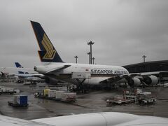 成田空港へ着陸しました。
天気は曇りです。雨上がりのようで地面はまだ濡れていました。

シンガポール航空A380の隣へ駐機です。