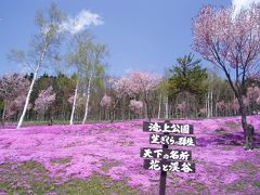 芝ざくら滝上公園