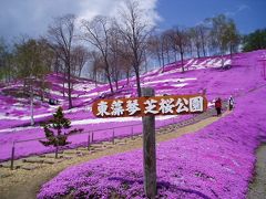 東藻琴芝桜公園です。
