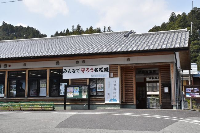 伊勢本街道と三多気の桜並木~奥津宿・石名原宿と花吹雪の桜並木2020~(三重)