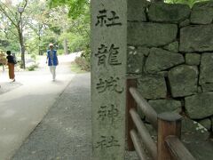 龍城神社
家康公誕生の朝に金の龍が現れ、昇天したという伝説のパワースポットです。