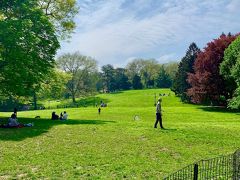 Sheep Meadow