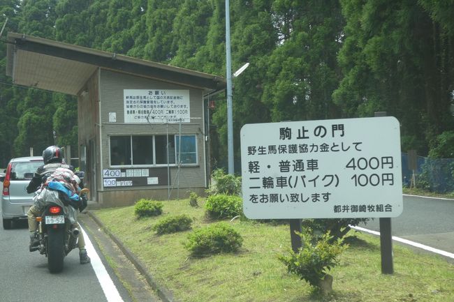 17年のgwは宮崎へ 2 ある意味念願の志布志市志布志町志布志と念願本命の都井岬へ 都井岬 串間 宮崎県 の旅行記 ブログ By まひなさん フォートラベル 17年のgwは宮崎へ 2 ある意味念願の志布志市志布志町志布志と念願本命の都井岬へ 都井岬 串間 宮崎県 の旅行記 ブログ By まひなさん フォートラベル