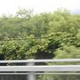 北海道旅行記２０１９年夏（１２）天北線廃線跡巡り・中頓別と稚内入り編