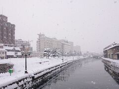 小樽運河に到着。これだけ激しく雪が降ってくると、2年前の飛行機欠航を思い出します。（その時は北海道の雪のためではなく、富山の大雪のためでしたが・・・）