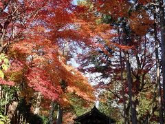 東福寺