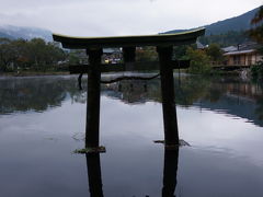 朝の天祖神社の鳥居。