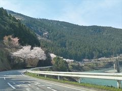 白浜の駅前と言っても　
人通りも少なく　
車も少なかった
　
レンタカー会社の駐車位置が　
きちんと確保されていたのは　
うれしかった