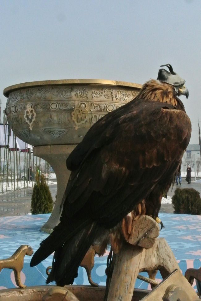 鷹さんドアップ。