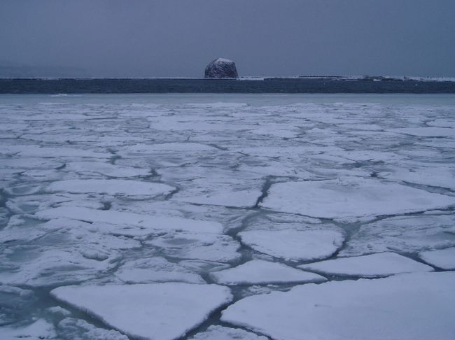流氷観光砕氷船おーろらは強風のため欠航、残念です。<br />船上からのオホーツク海の流氷を見たかったのですが。