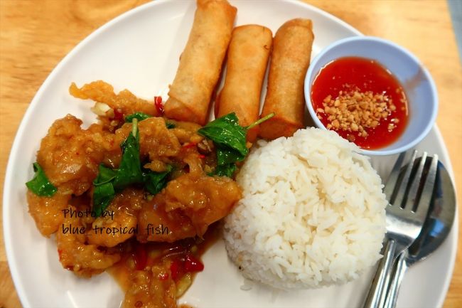 そして、魚の揚げ物と、春巻きごはん。娘とシェア。<br /><br />ジャクリーンは確かヌードル系のものを食べていました。全部で220バーツ。