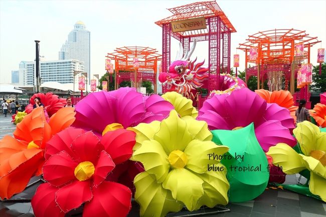 そしてお花がずらりと。