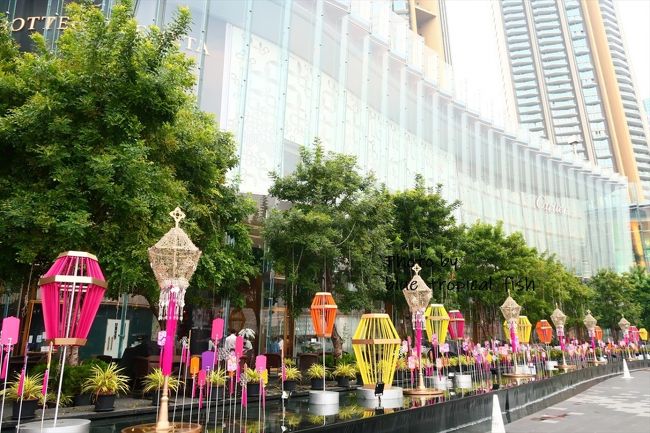 こちらにもランタンが。