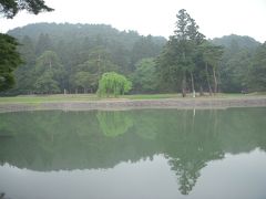 毛越寺
史跡公園
特別史跡：観自在王院跡
「特別史跡」「特別名勝」、その文化価値を国から二重に指定されている毛越寺
大泉が池は、東西約１８０メートル、南北約９０メートル　毛越寺庭園の中心で作庭当初の姿を今に伝えており、池には玉石を敷いた中島が築かれ、南大門前から中島まで反橋が、反対の金堂側からは斜橋が架けられていた。
橋の四隅に据えられた橋挟石や南の反橋の橋杭は残存し、橋の遺構としては、わが国最古のもの。