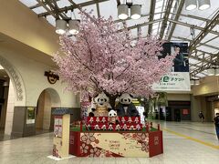 朝7時半に上野駅に到着。

パンダが出迎えてくれました。